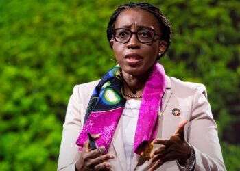 國際高級專家小組共同主席維拉·松圭 (圖：Puissance-237）