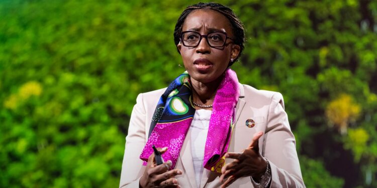 國際高級專家小組共同主席維拉·松圭 (圖:Puissance-237)